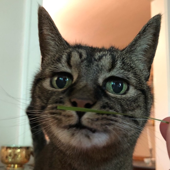 patrickmakes